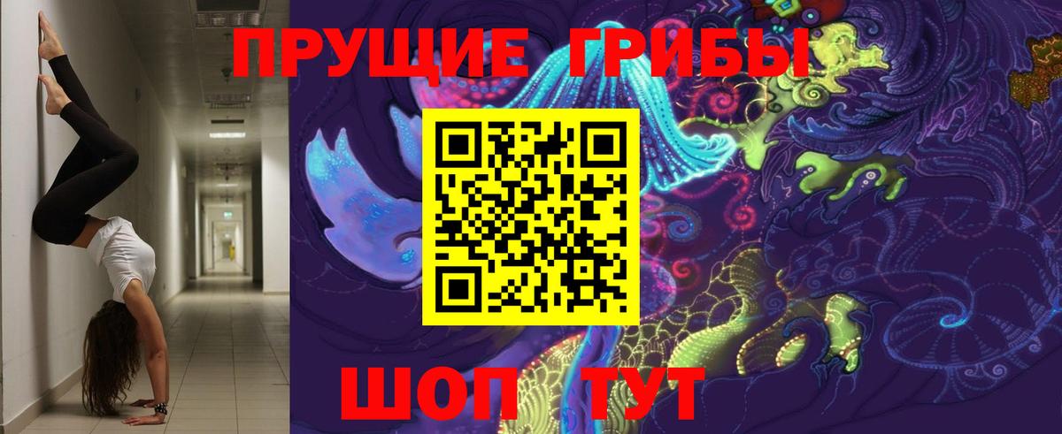 Ивантеевка  Псилоцибиновые грибы Cubensis  Вход с VPN 